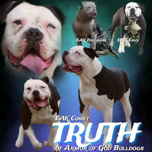 Meet your Posher, Tera